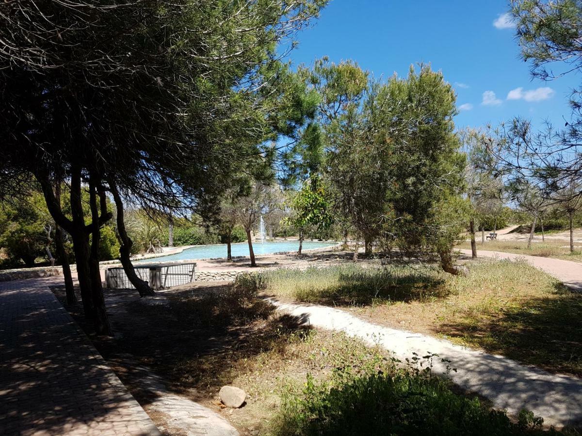 Ferienwohnung Los Europeos Torre La Mata Exterior foto